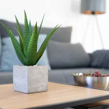 Empress شقة ميميتسا