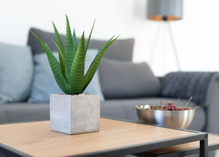 Empress Lägenhet Mimice