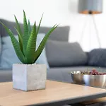 Empress Appartement Mimice